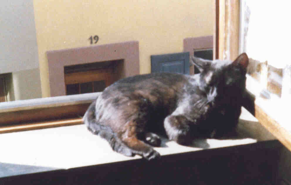 Schnurry2 am Fenster