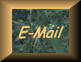 E-Mail-Link