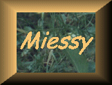 Miessy-Link