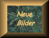 Neue Bilder