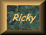 Ricky-Link