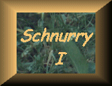 Schnurry1-Link