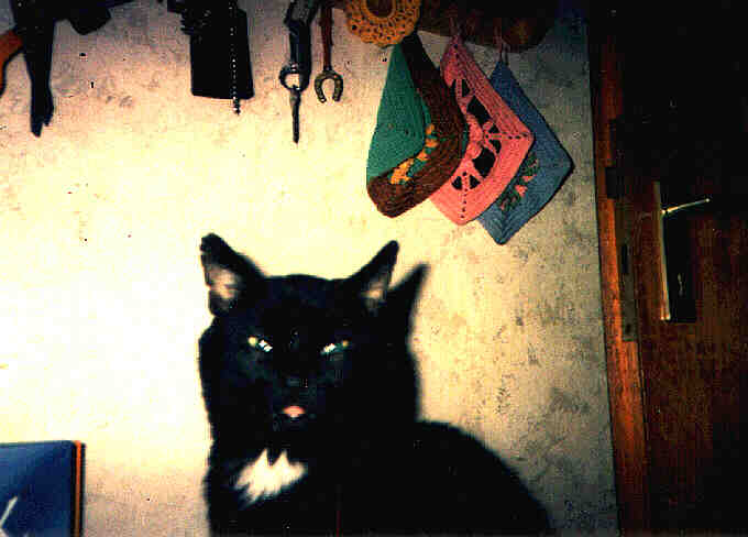 Schnurry II