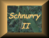 Schnurry2-Link